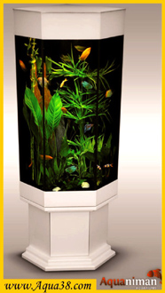 Installation d'aquariums d'exception